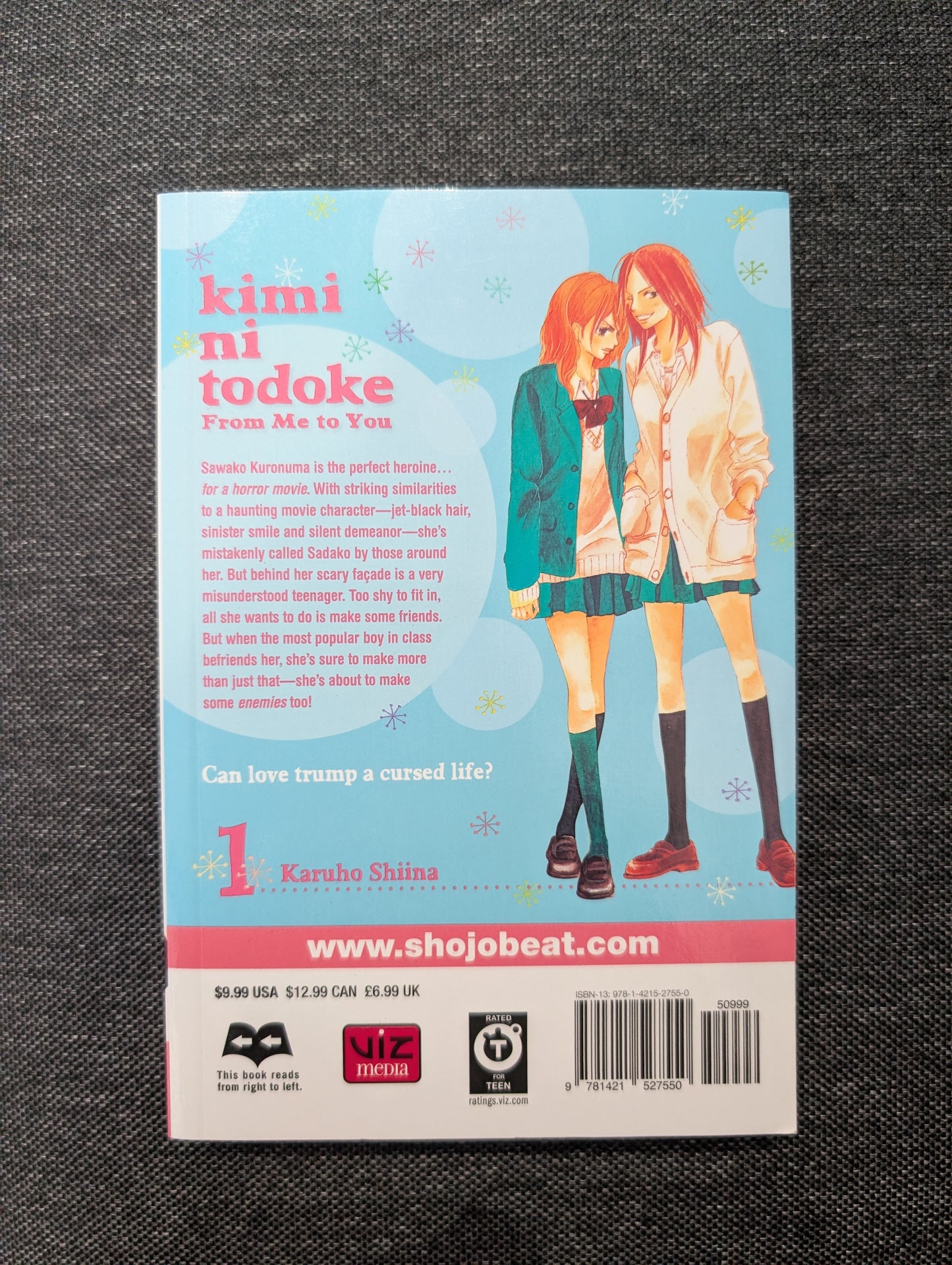 Kimi ni Todoke: From Me to You, Vol. 1