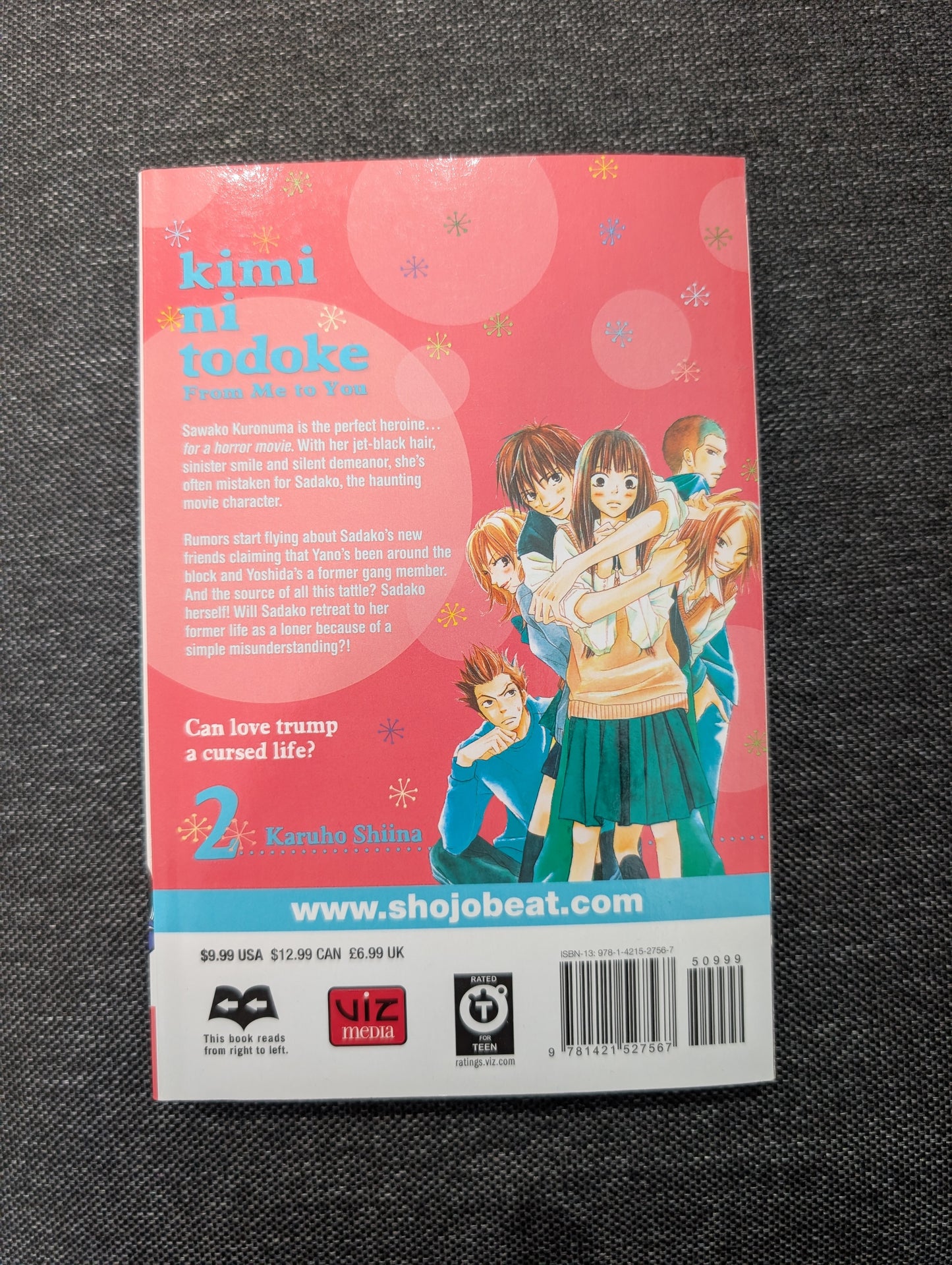 Kimi ni Todoke: From Me to You, Vol. 2