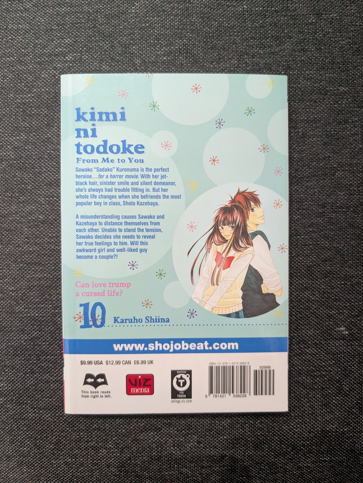 Kimi ni Todoke: From Me to You, Vol. 10