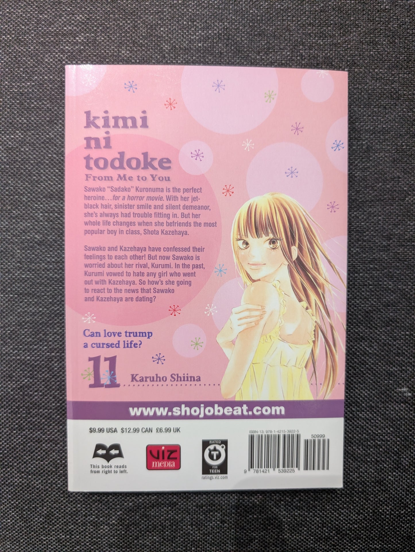Kimi ni Todoke: From Me to You, Vol. 11