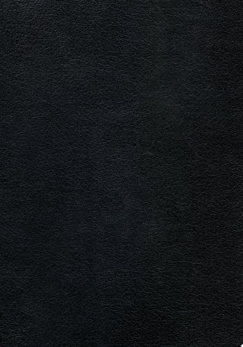 Berserk Deluxe Volume 9