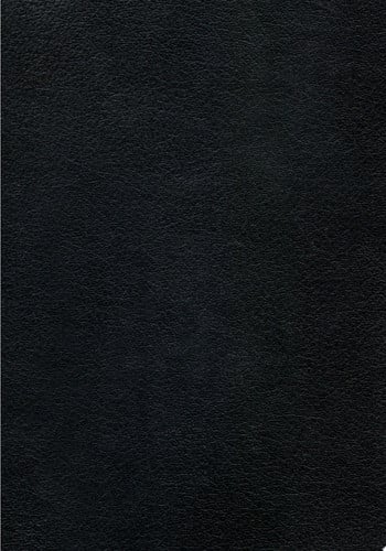Berserk Deluxe Volume 13