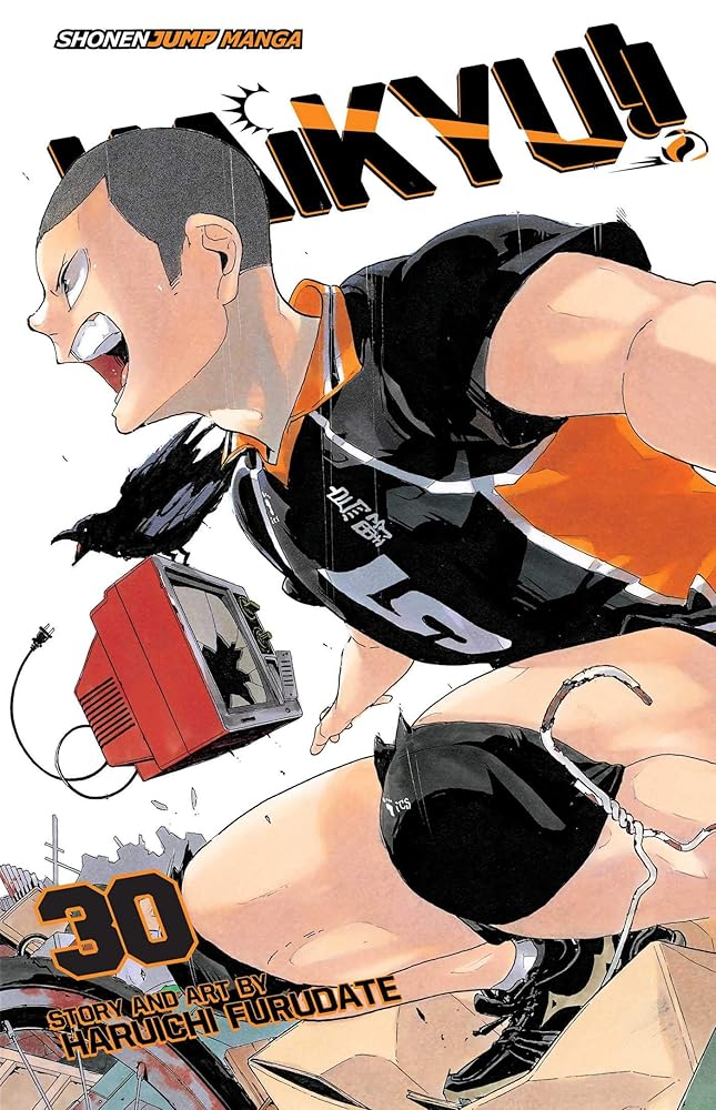Haikyu!!, Vol. 30 cover image