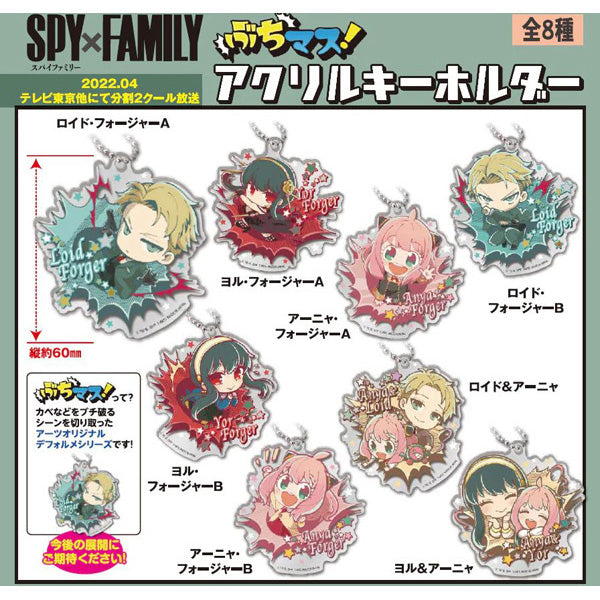 Spy X Family Buchimasu! Acrylic Keychain Blind Box x 1