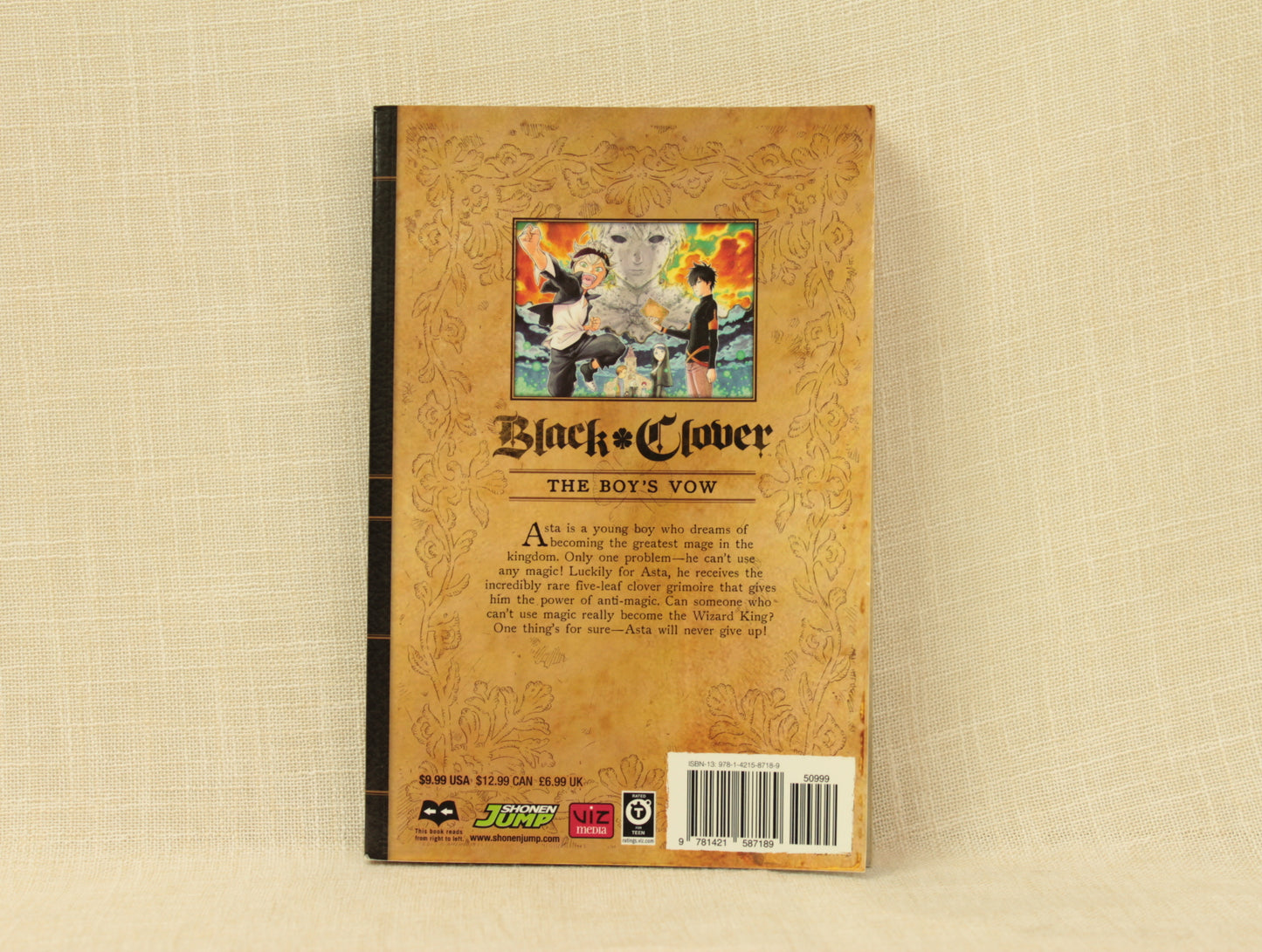 Black Clover, Vol. 1