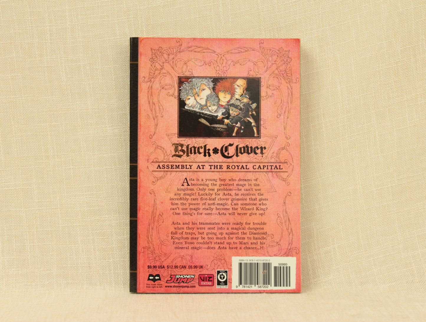 Black Clover, Vol. 3