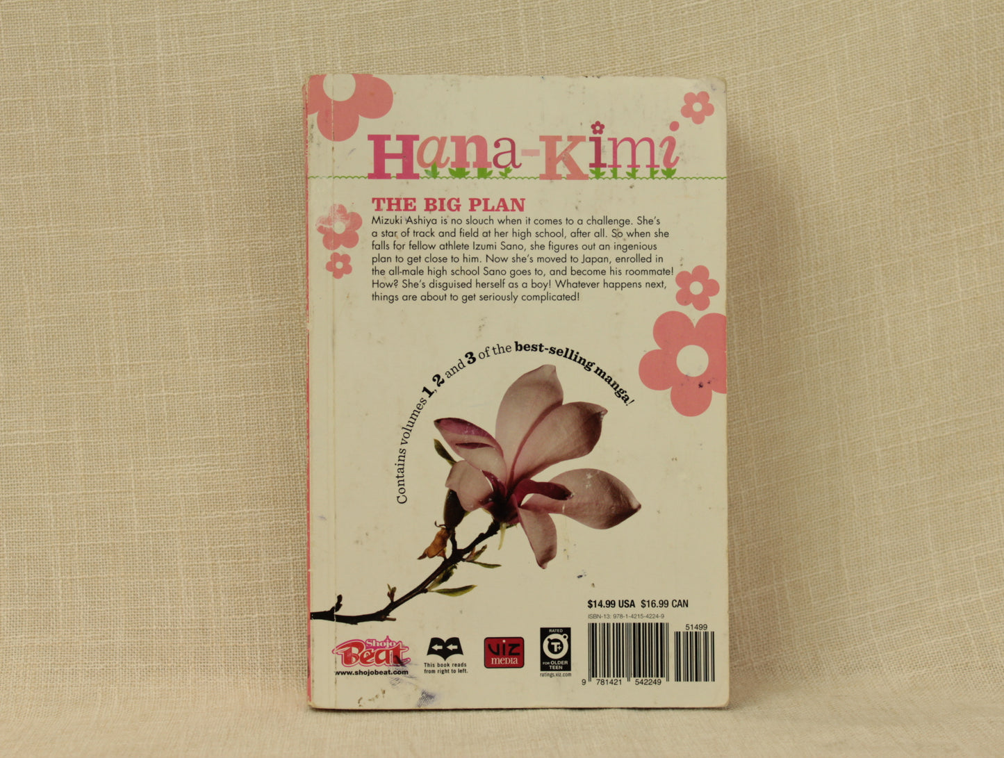 Hana-Kimi (3-in-1 Edition), Vol. 1