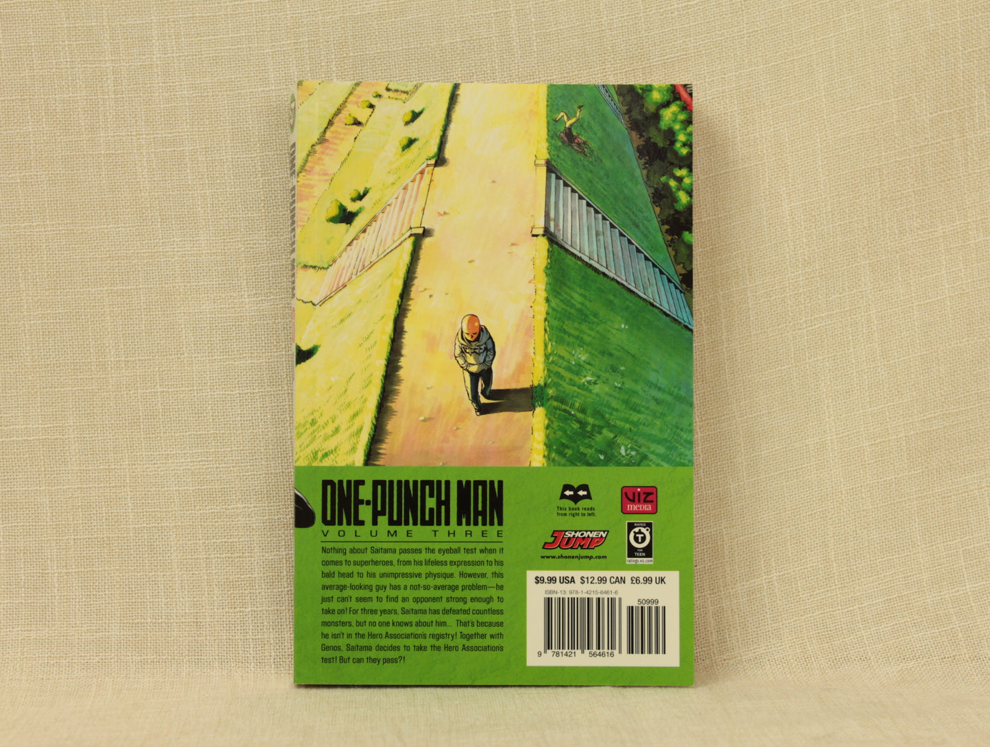 One-Punch Man, Vol. 3