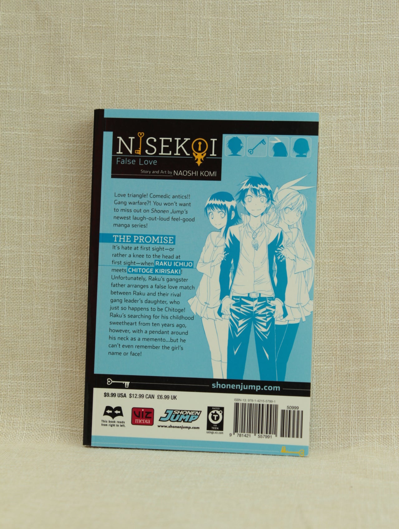 Nisekoi: False Love 1