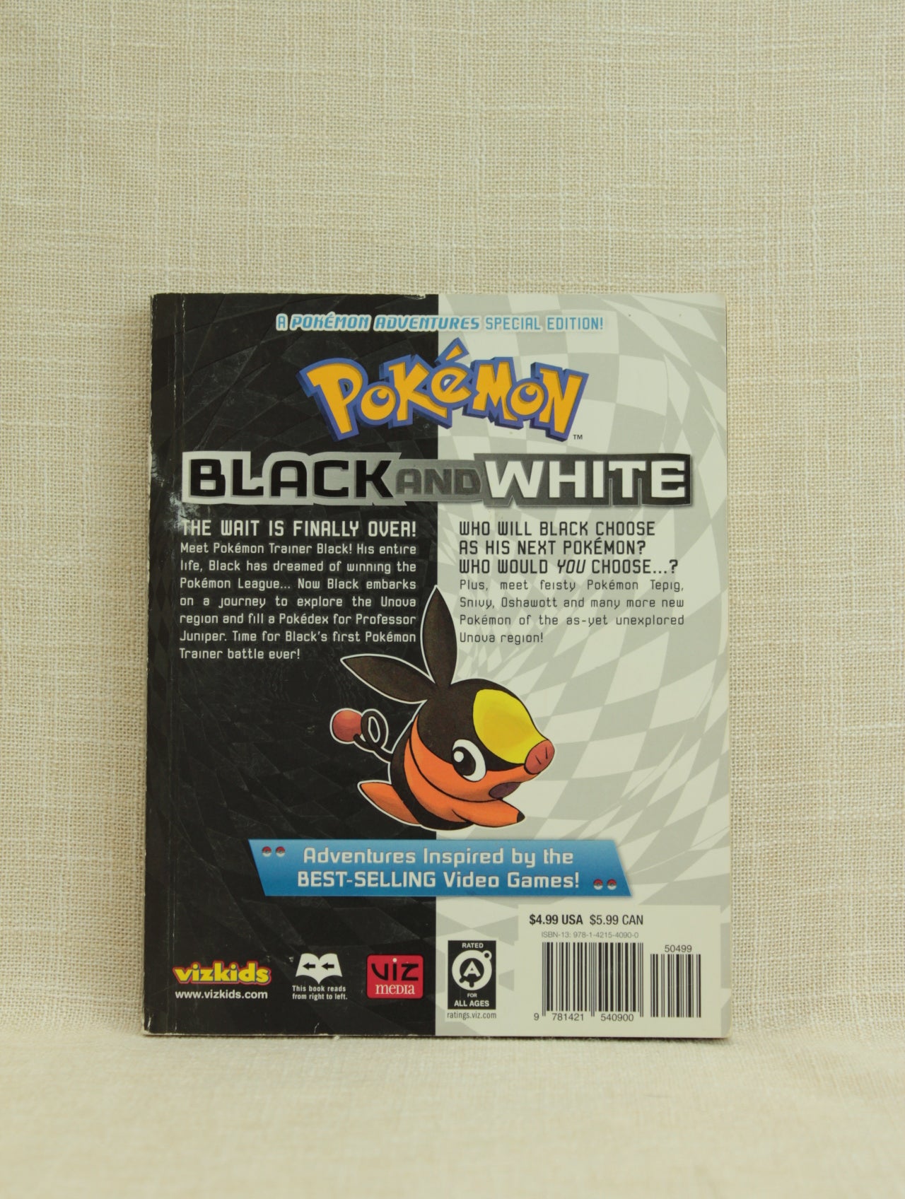 Pokemon Black and White 1