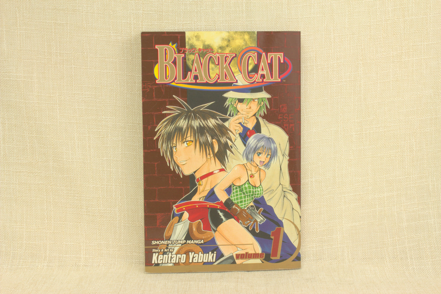 Black Cat 1