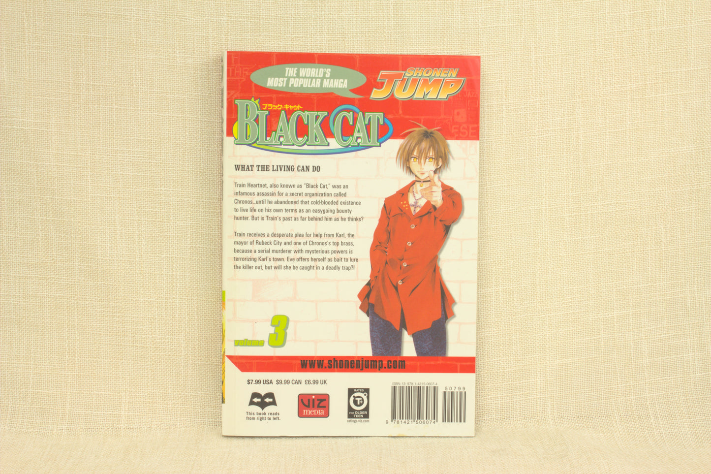 Black Cat 3