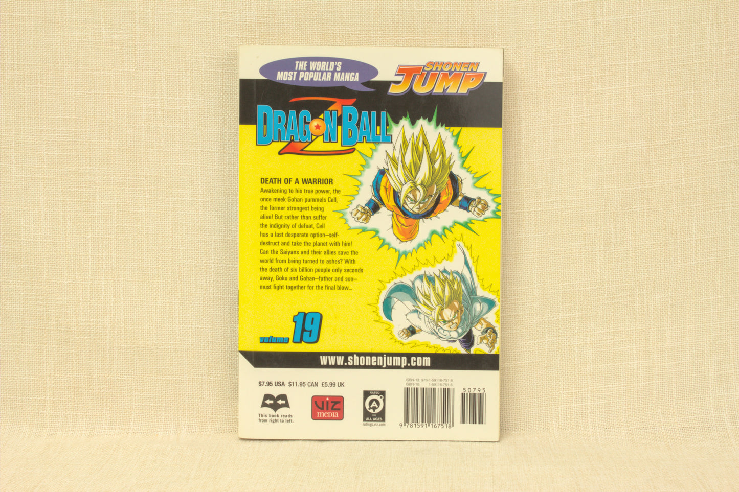 Dragon Ball Z 19