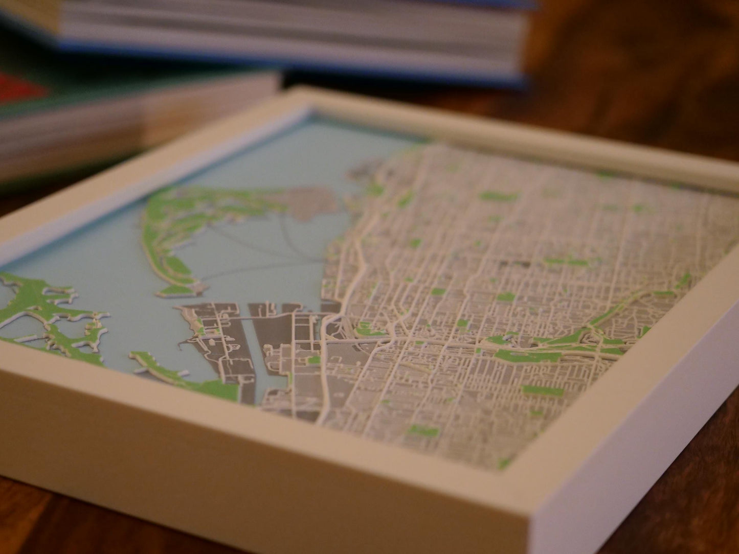 3D Toronto Street Map - Framed