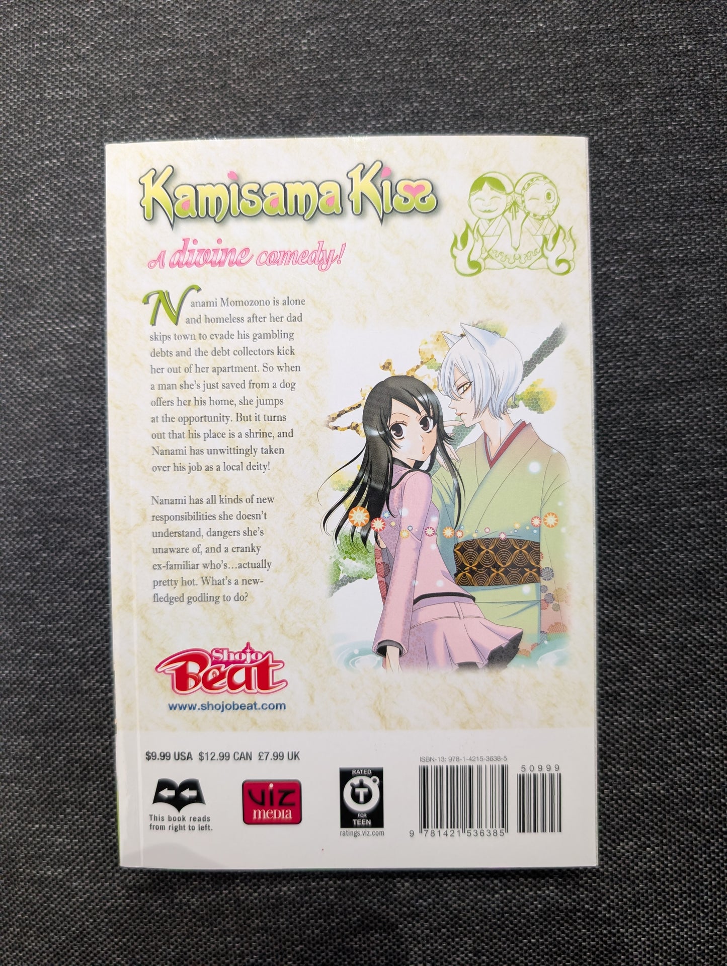 Kamisama Kiss, Vol. 1