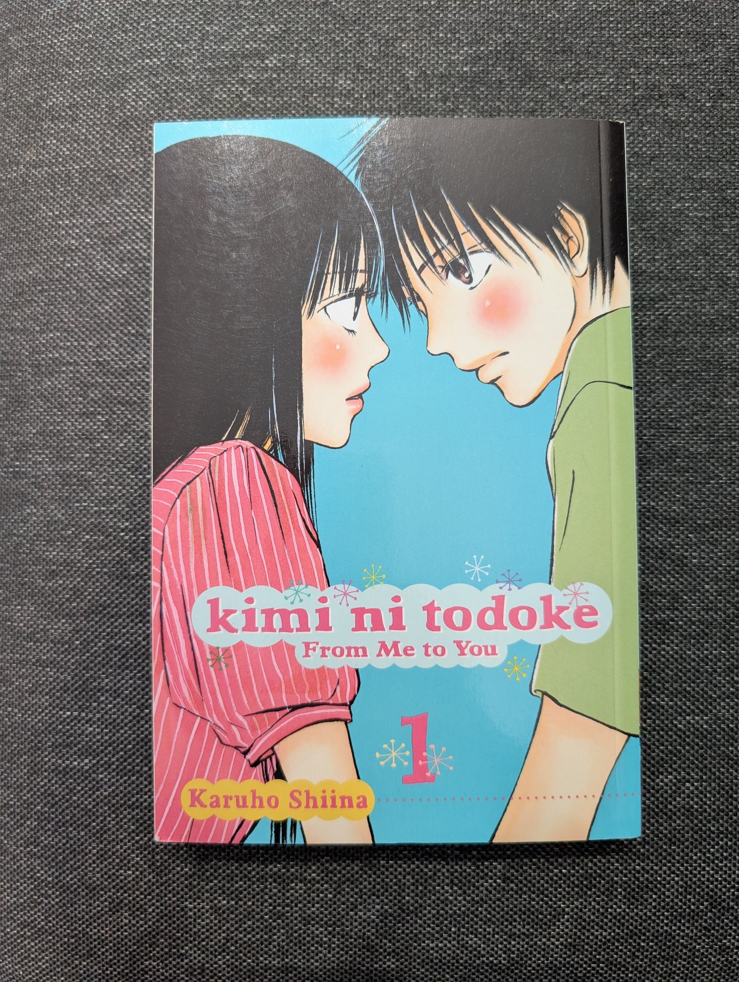 Kimi ni Todoke: From Me to You, Vol. 1