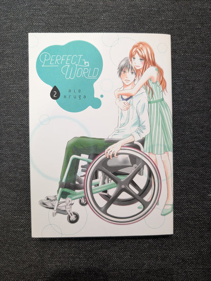 Perfect World 2