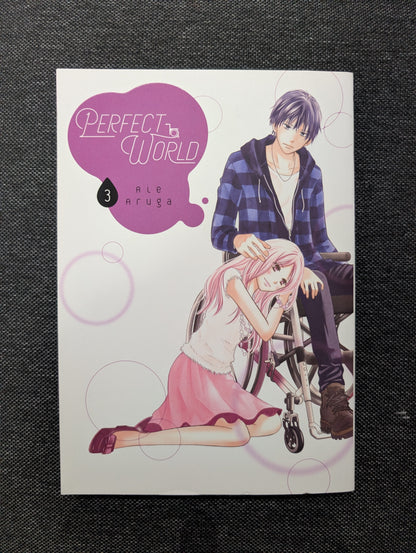 Perfect World 3