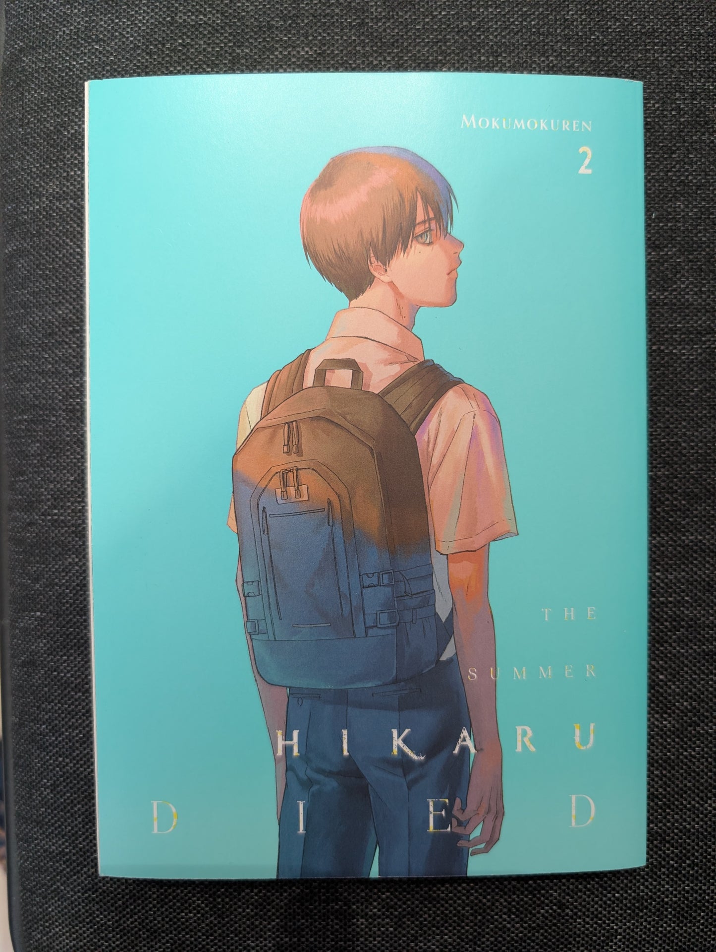 The Summer Hikaru Died, Vol. 2