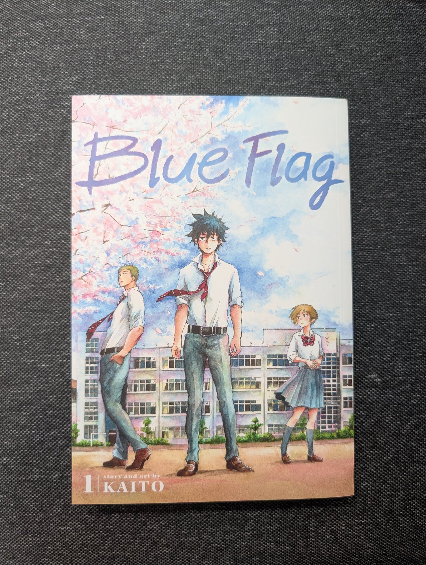Blue Flag, Vol. 1
