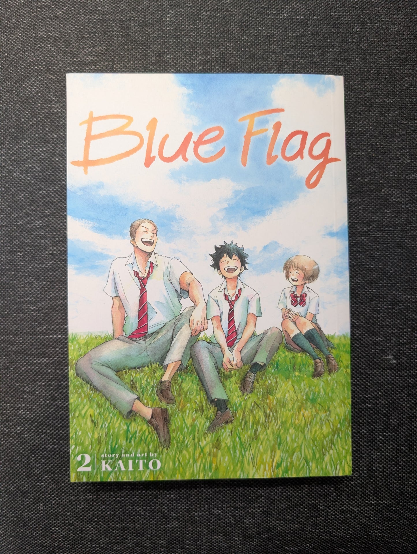 Blue Flag, Vol. 2