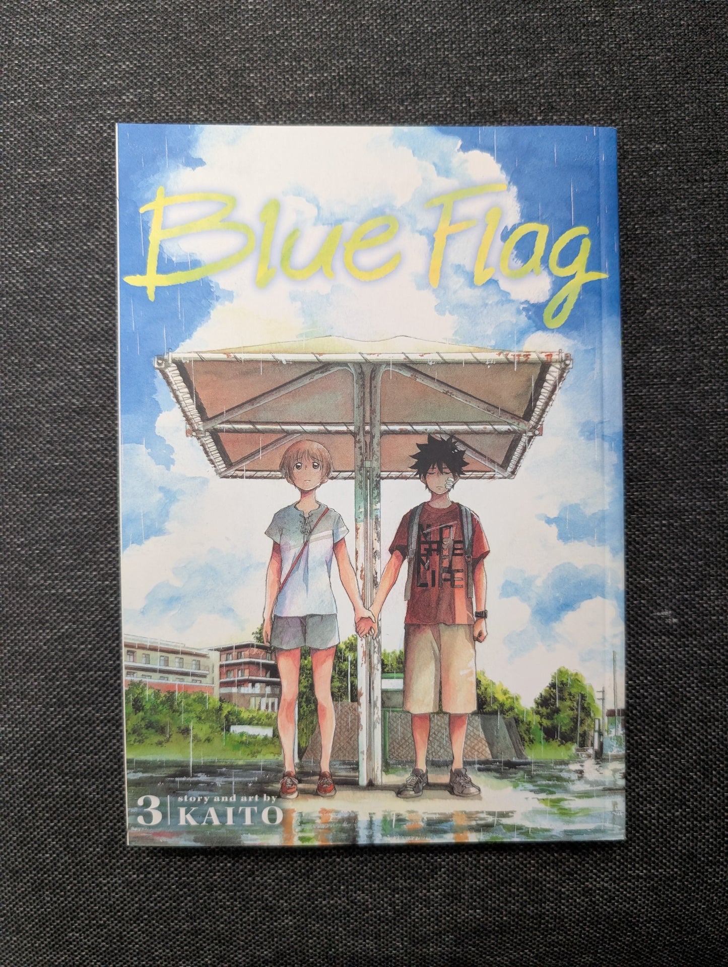 Blue Flag, Vol. 3