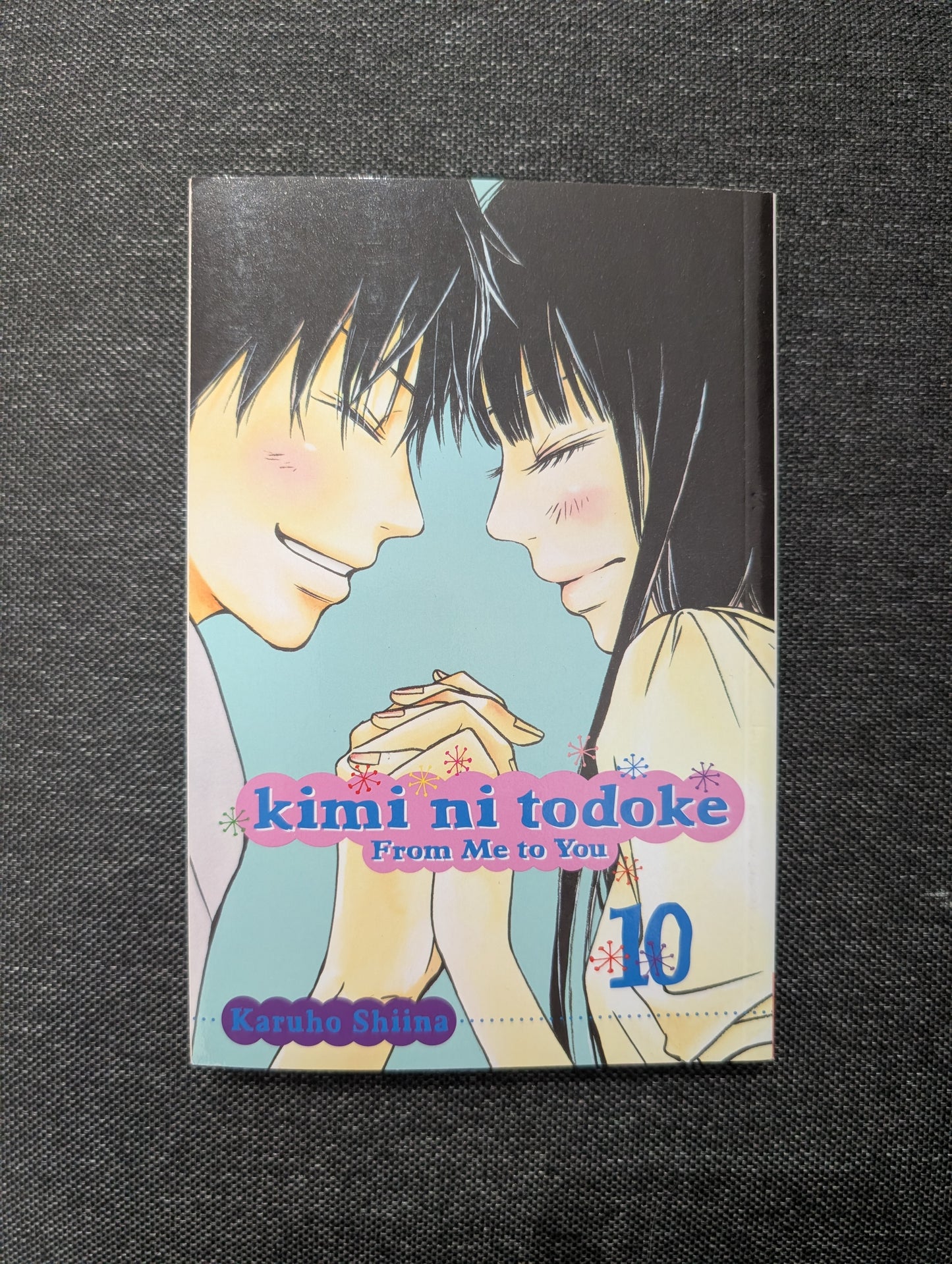 Kimi ni Todoke: From Me to You, Vol. 10