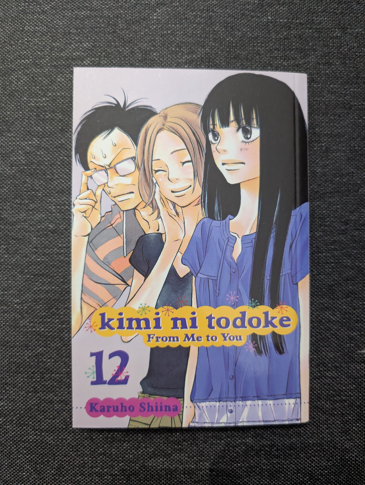 Kimi ni Todoke: From Me to You, Vol. 12