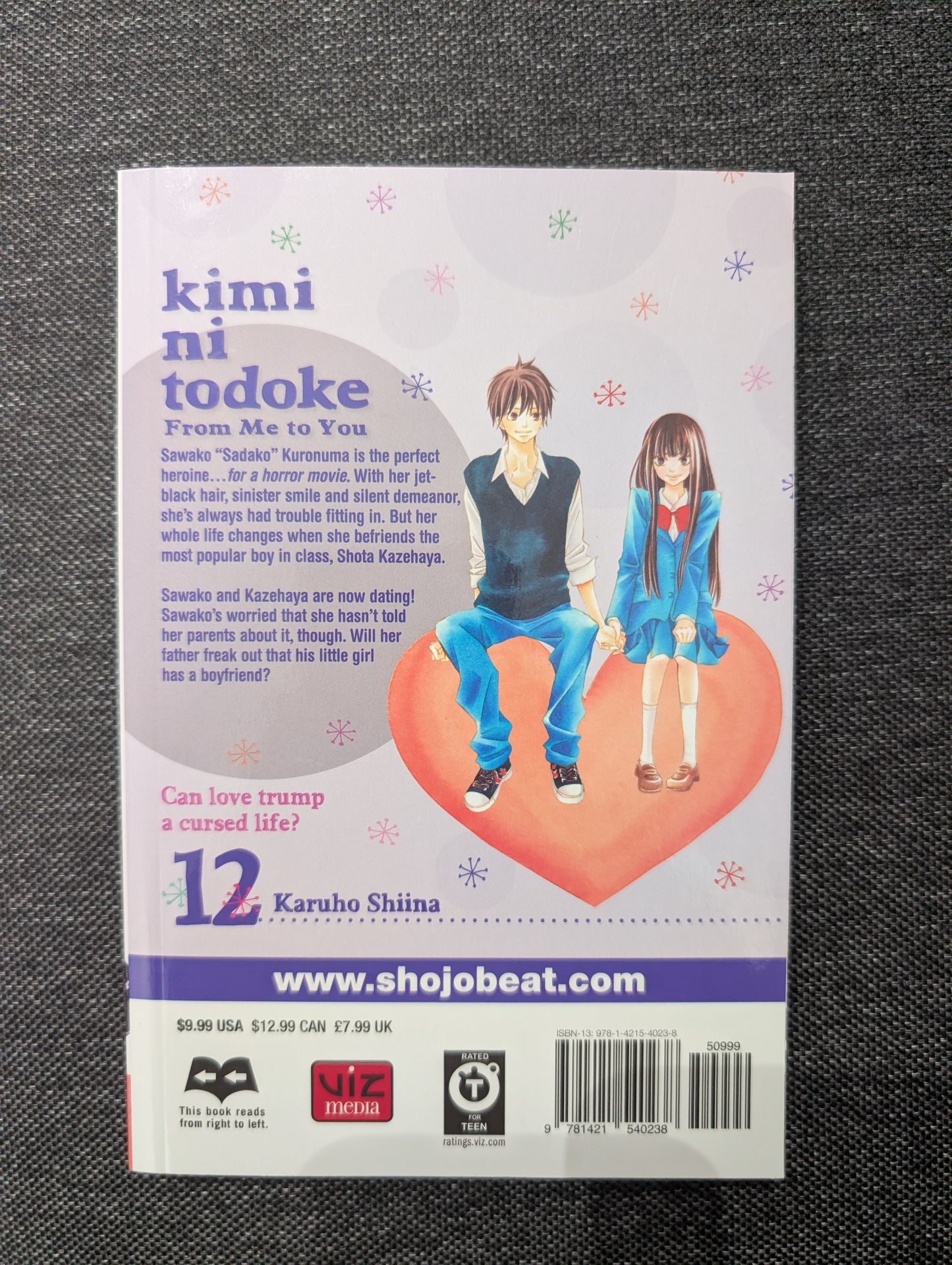 Kimi ni Todoke: From Me to You, Vol. 12