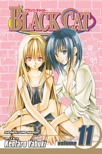 Black Cat, Vol 11
