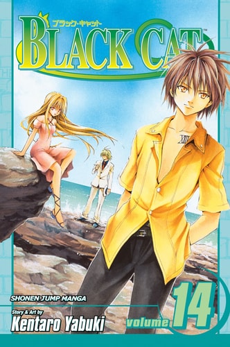 Black Cat, Vol. 14