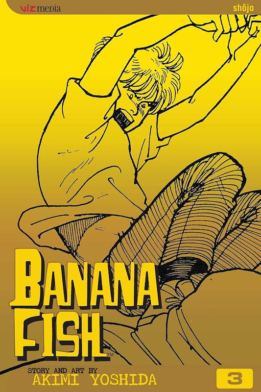 Banana Fish, Vol. 3 cover image