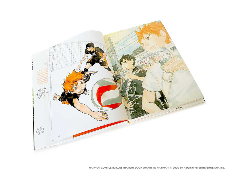 The Art of Haikyuu!!