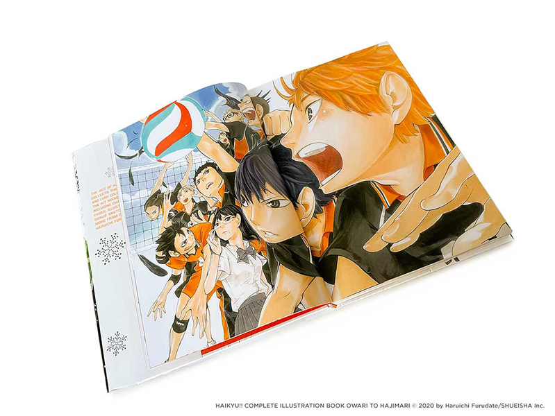 The Art of Haikyuu!!