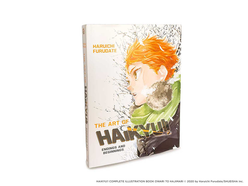 The Art of Haikyuu!!