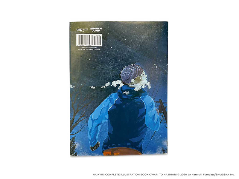 The Art of Haikyuu!!