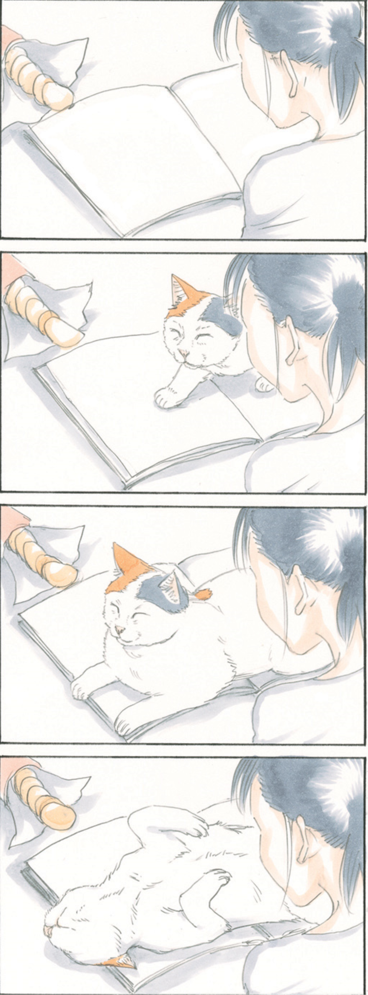 Mocha the Cat and His Forever Family Vol. 1