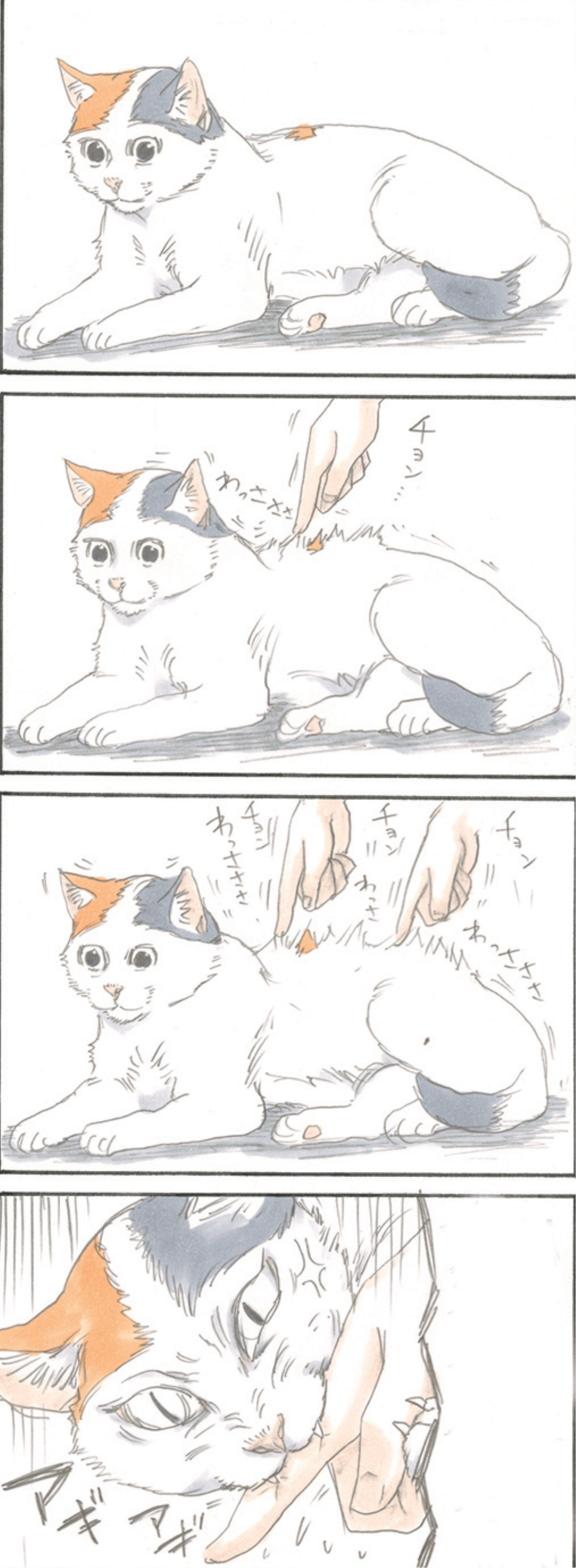 Mocha the Cat and His Forever Family Vol. 1