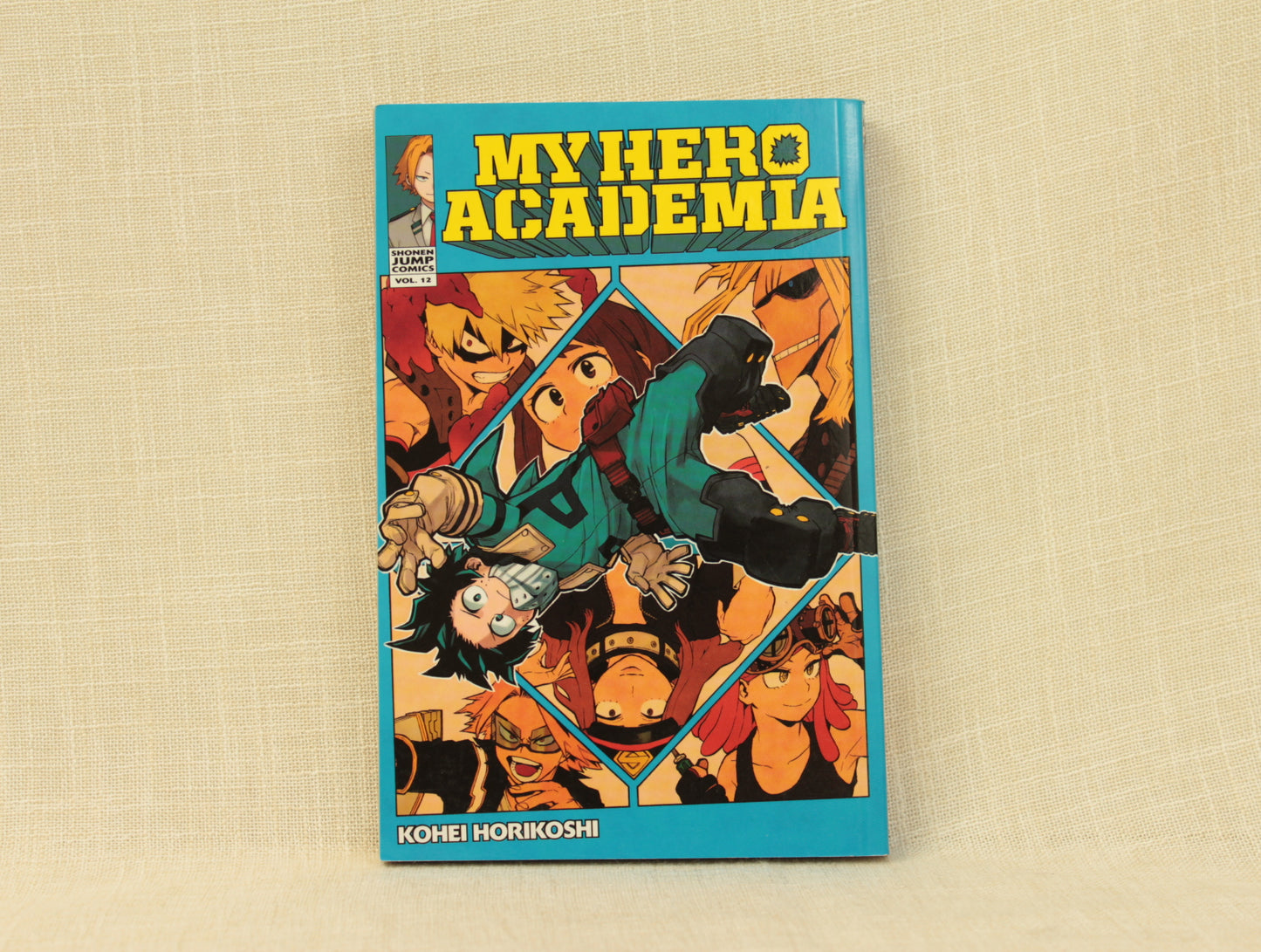 My Hero Academia 12