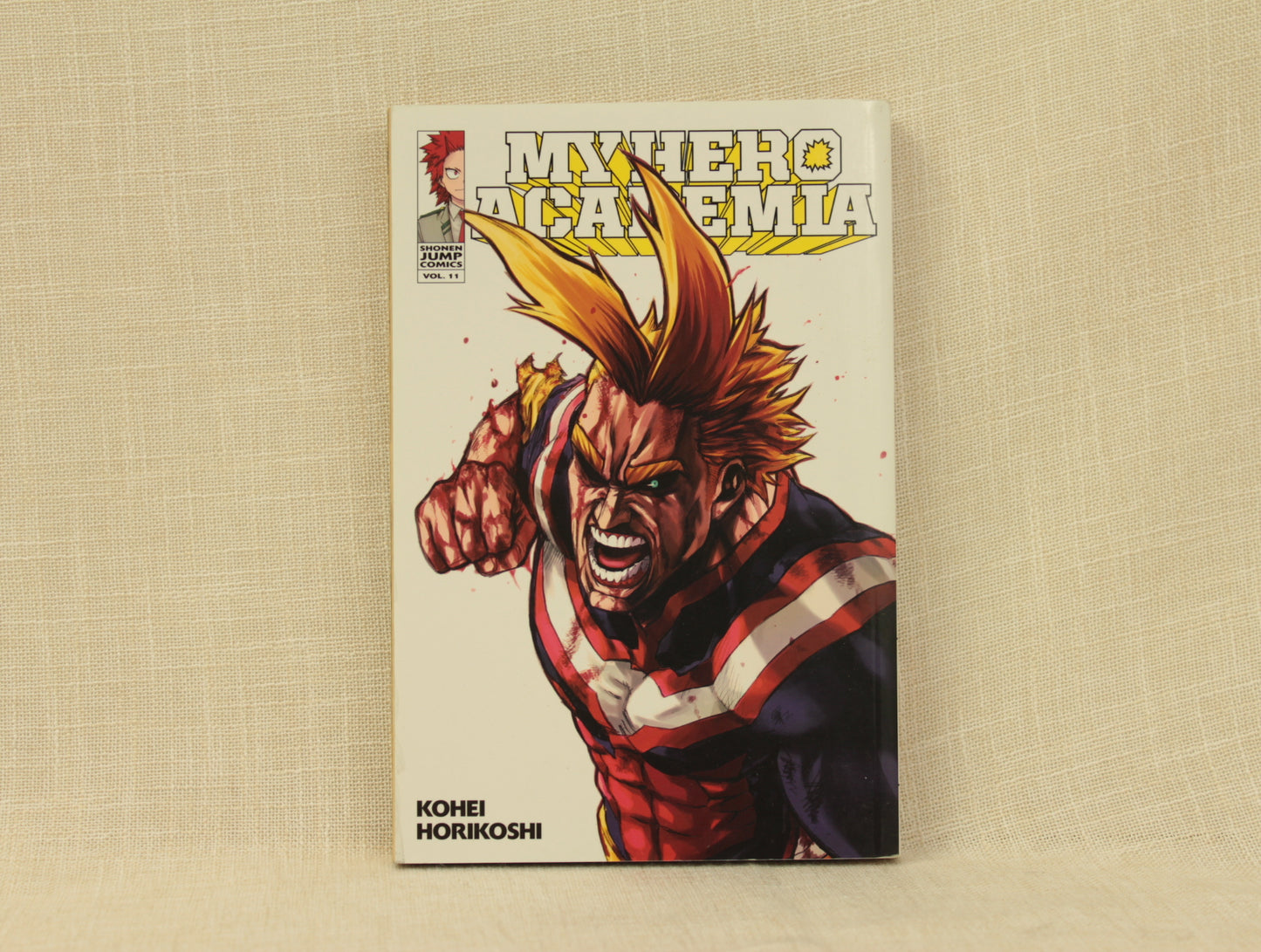 My Hero Academia 11