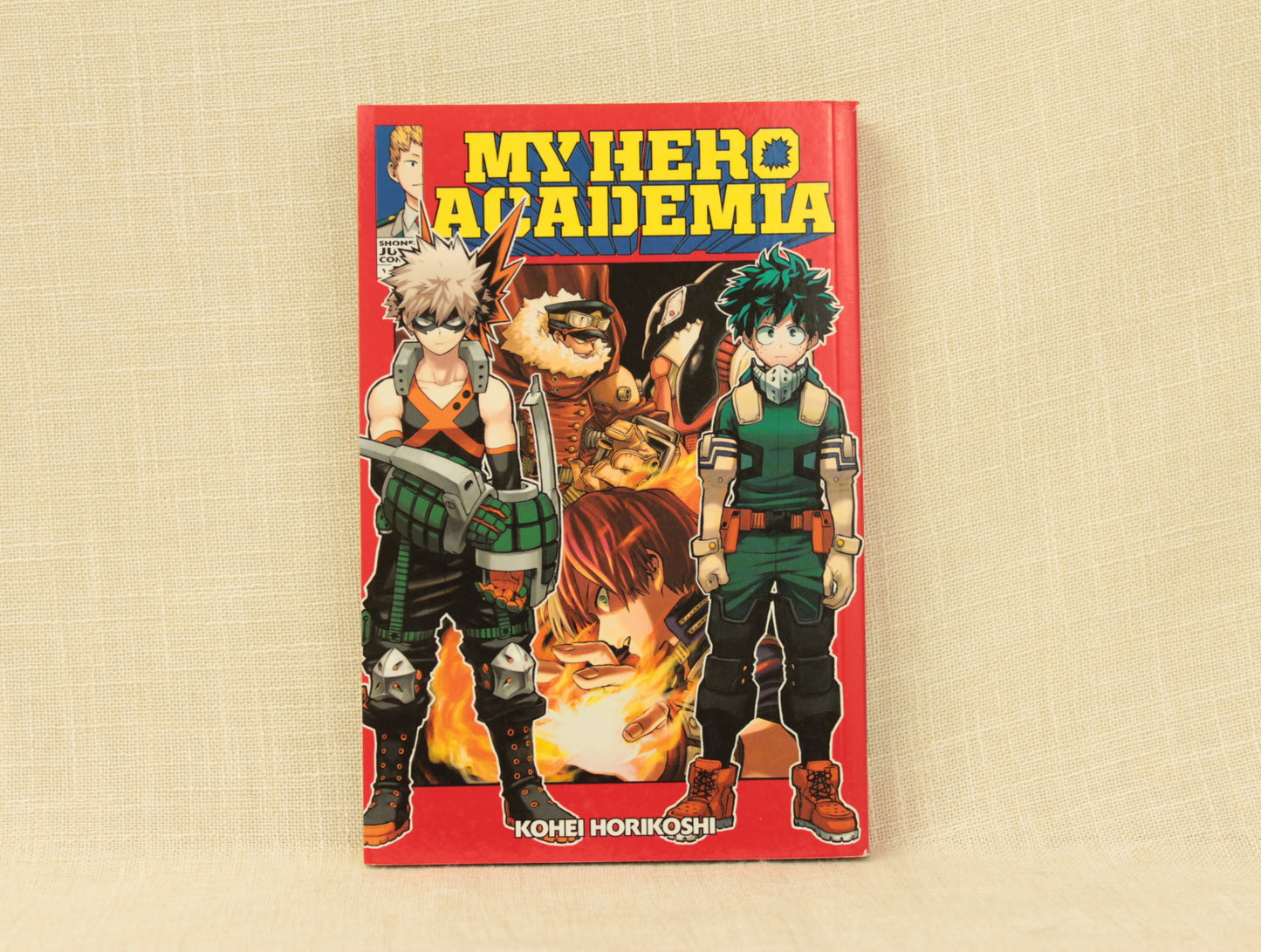 My Hero Academia 13