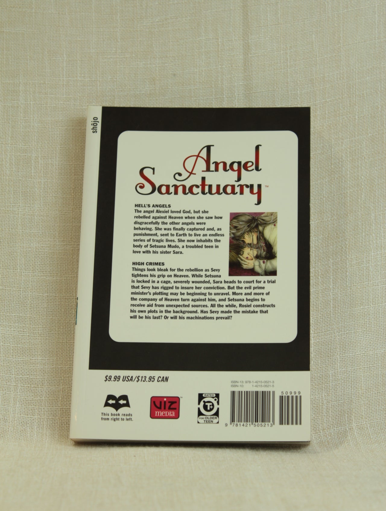 Angel Sanctuary, Vol. 15
