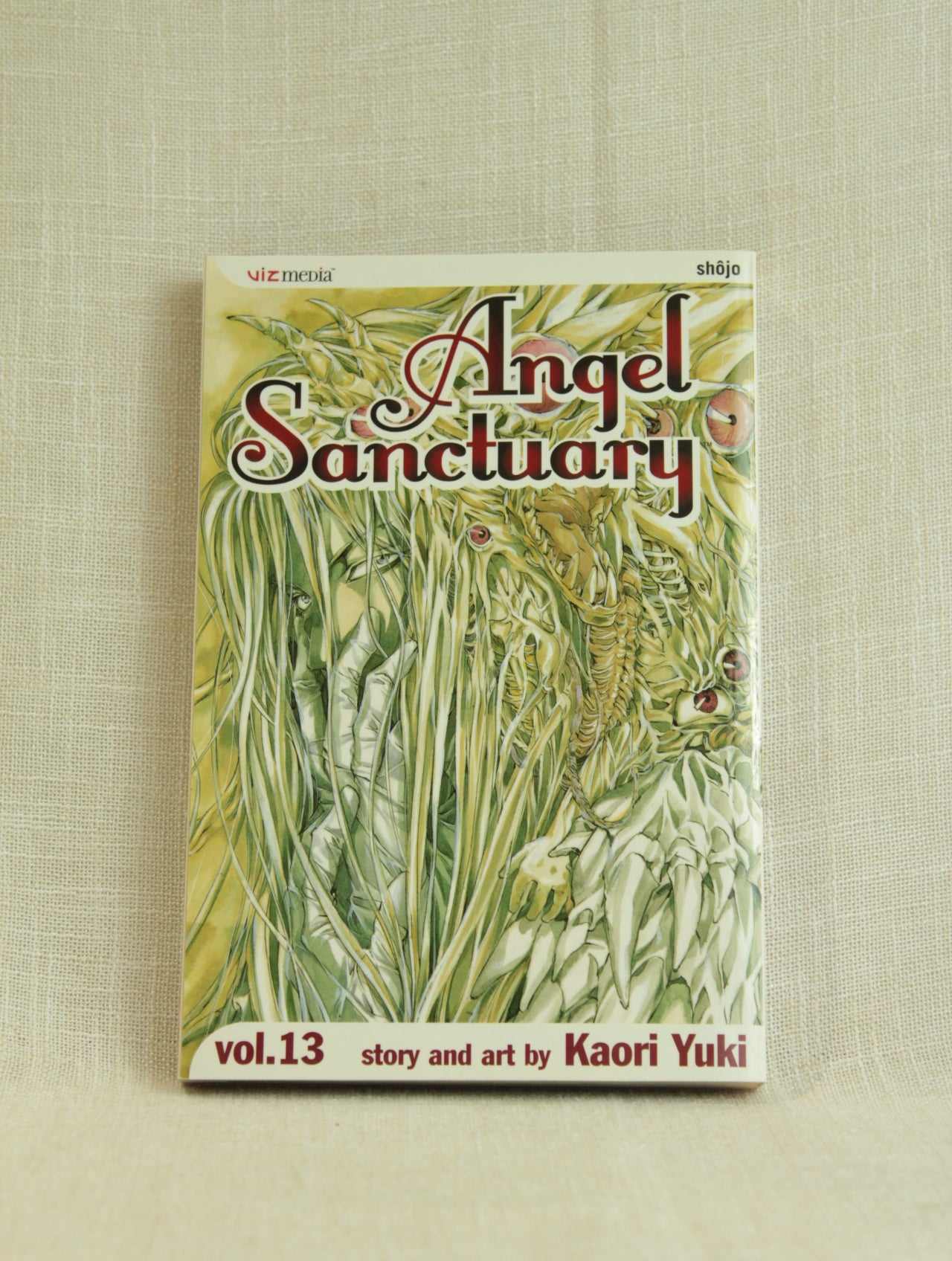 Angel Sanctuary, Vol. 13