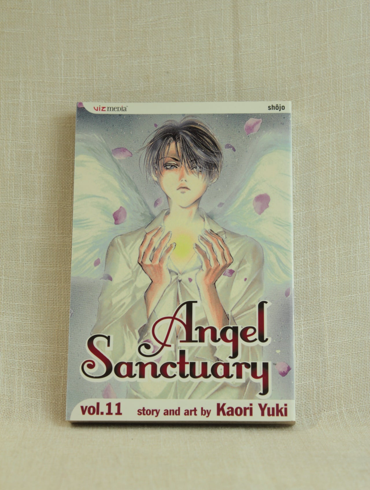 Angel Sanctuary, Vol. 11