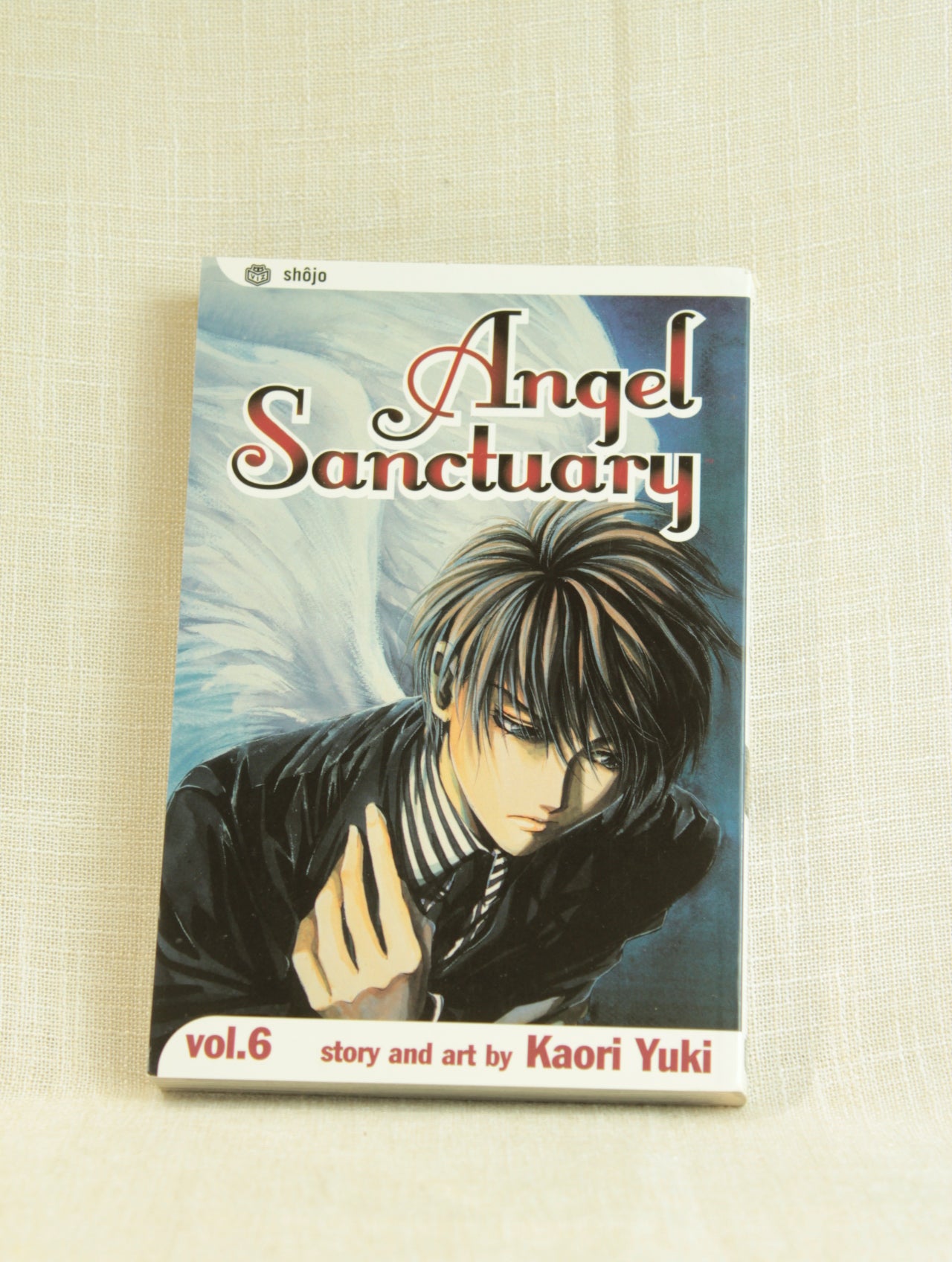 Angel Sanctuary, Vol. 6