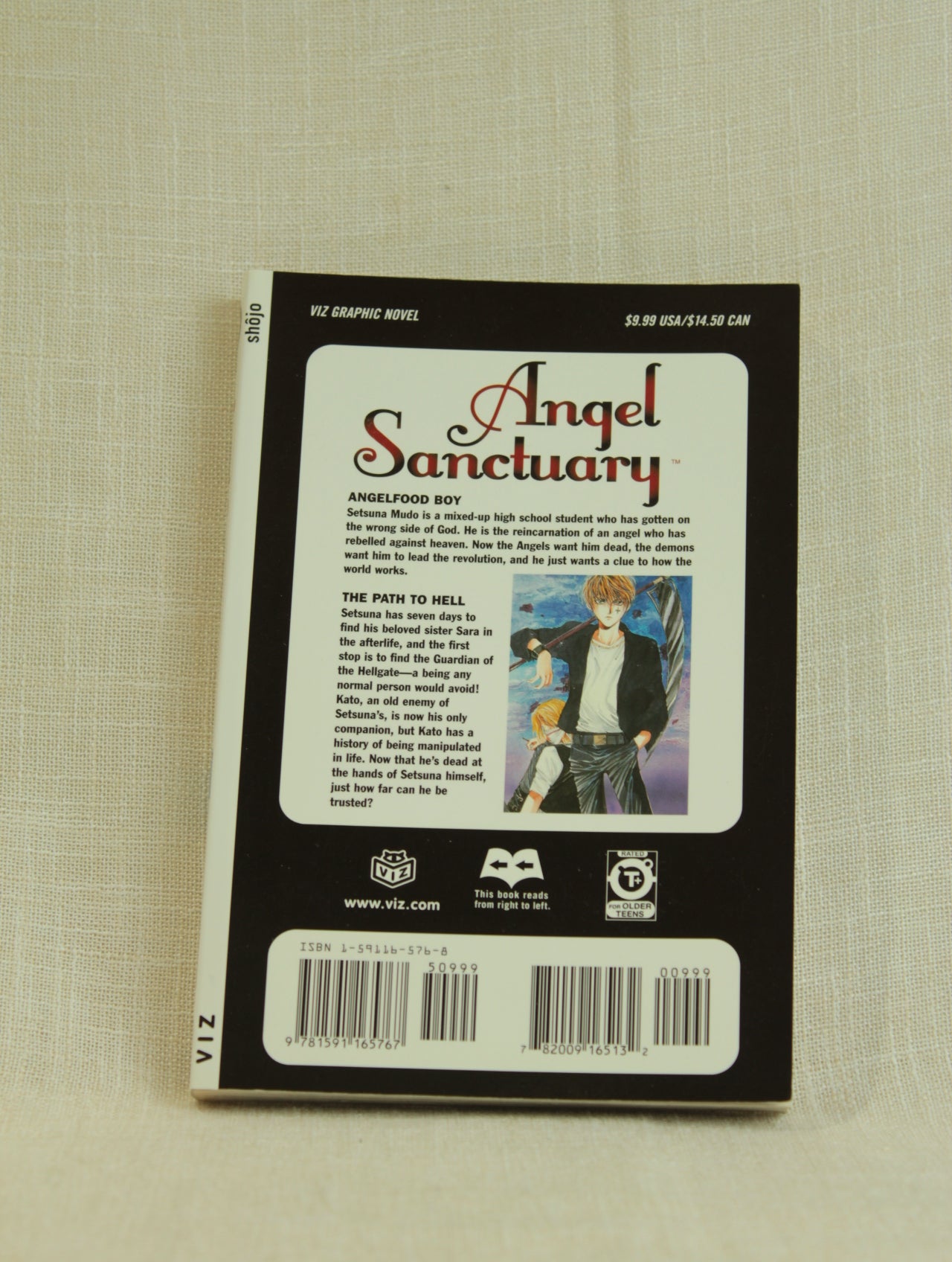 Angel Sanctuary, Vol. 5