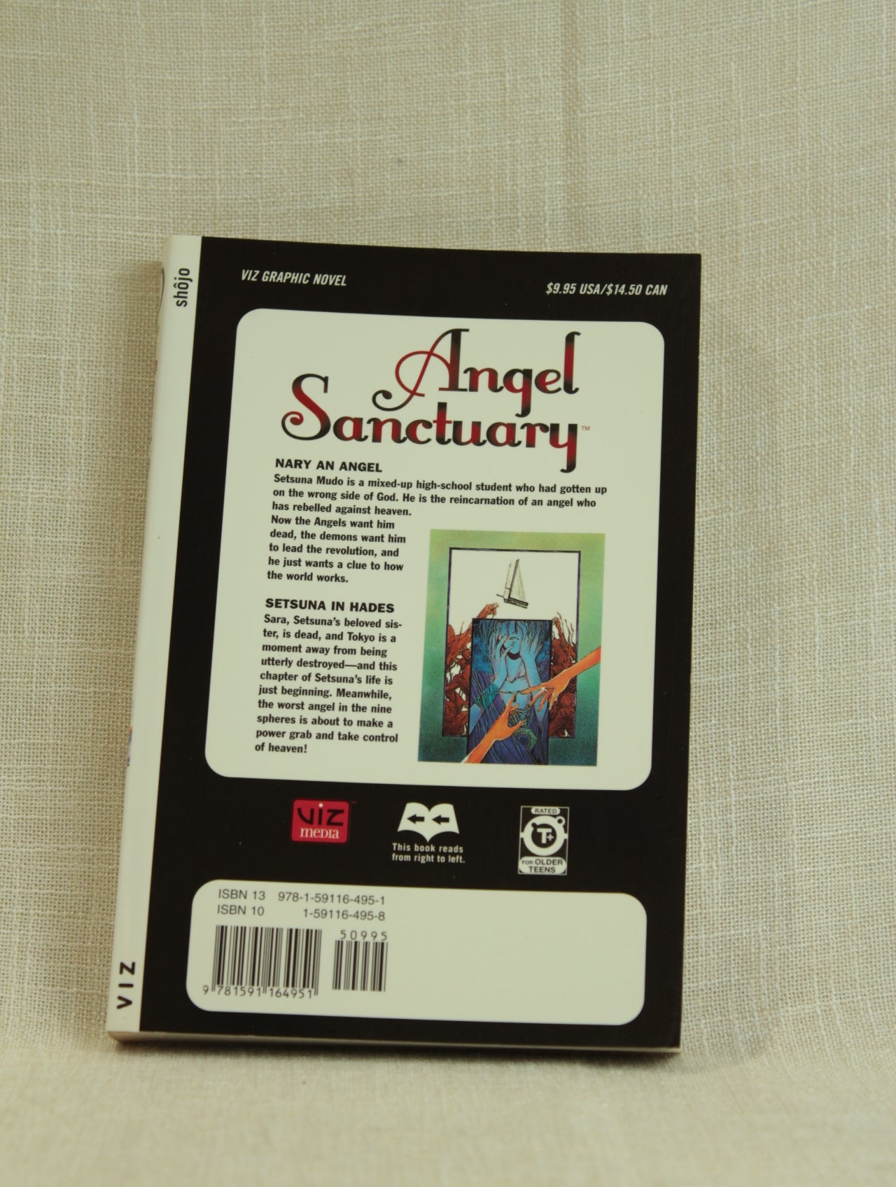 Angel Sanctuary, Vol. 4