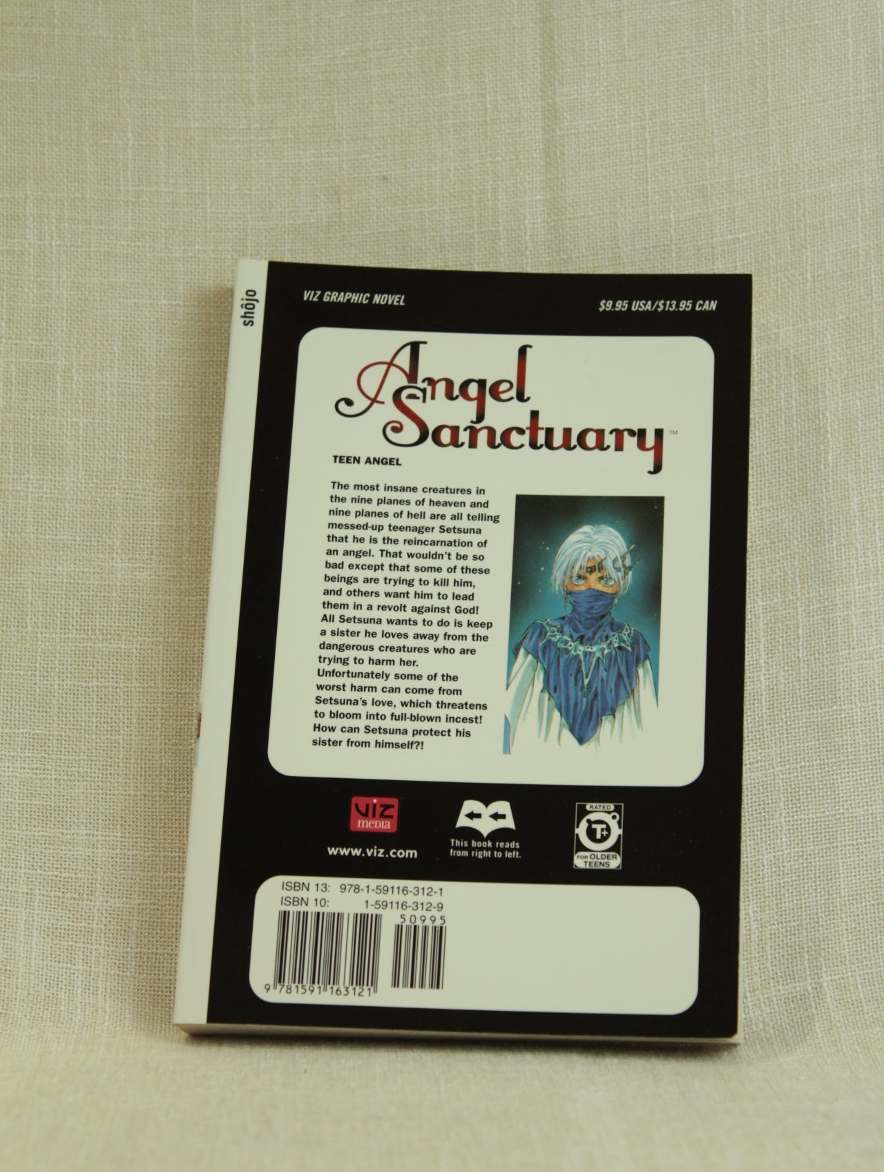 Angel Sanctuary, Vol. 2