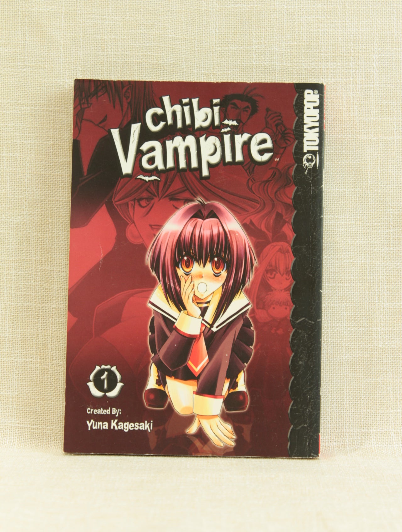 Chibi Vampire, Vol. 01