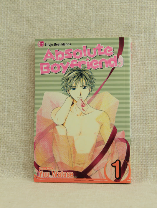 Absolute Boyfriend, Vol. 1